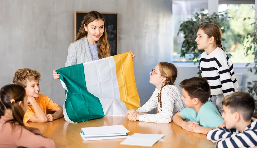 colegios públicos en irlanda